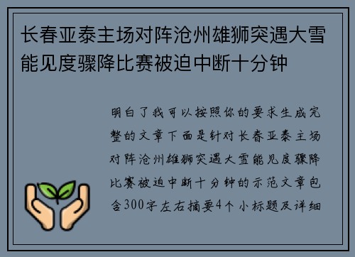 长春亚泰主场对阵沧州雄狮突遇大雪能见度骤降比赛被迫中断十分钟
